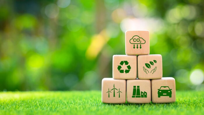 La formation à la transition écologique serait obligatoire en premier cycle dès la rentrée 2025. - © Canva