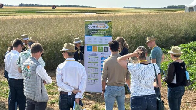 Openfield 2025 : un démonstrateur pour évaluer la transition agroécologique
