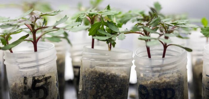 Des homologations qui consacrent 15 ans de recherche pour Agronutrition