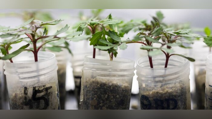 Des homologations qui consacrent 15 ans de recherche pour Agronutrition