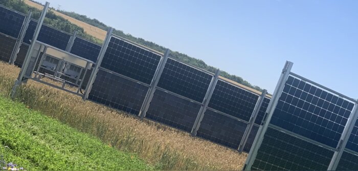 InVivo et TotalEnergies inaugurent un démonstrateur agrivoltaïque en Ile-de-France
