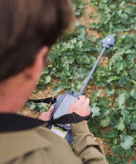 Évaluer la biomasse du colza grâce au N-Pilot® afin d’optimiser la fertilisation azotée du colza - © D.R.