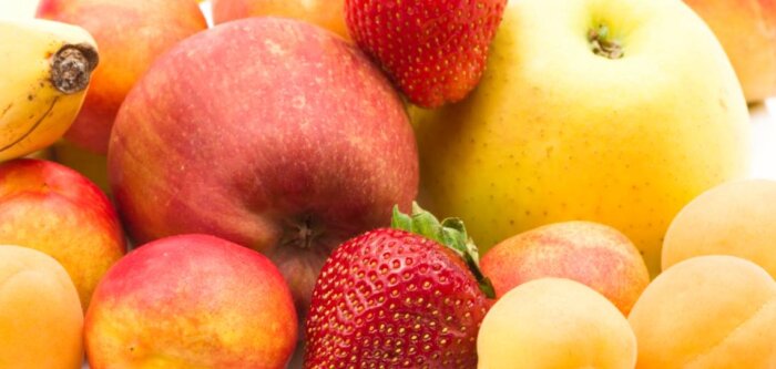 Alcygol BS : La nouvelle gamme de biostimulants homologuée d’Agronutrition