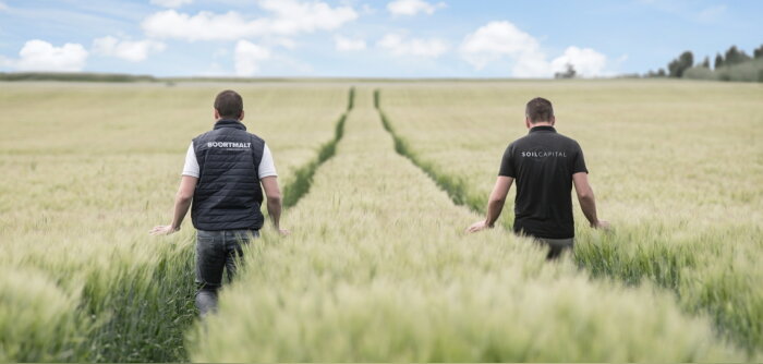 Boortmalt, filiale d’Axéréal, veut réduire l’empreinte carbone des orges