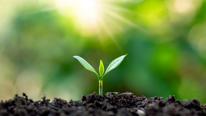 Fonctionnement du CSE : la formation pour agir sur la transition écologique - © D.R.