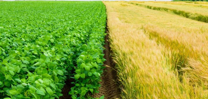 Les grandes cultures bénéficient désormais de Biosolutions