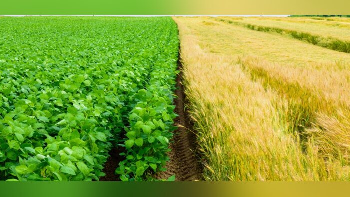 Les grandes cultures bénéficient désormais de Biosolutions
