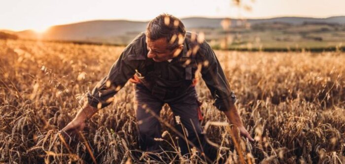 Réduire la fréquence de traitement avec les biosolutions