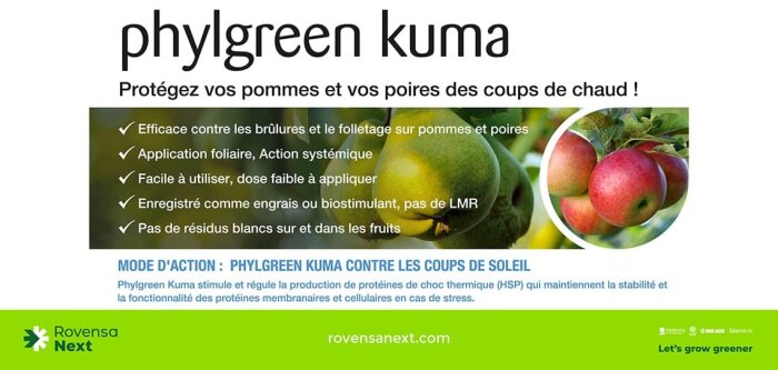 Les algues face aux coups de soleil sur les fruits