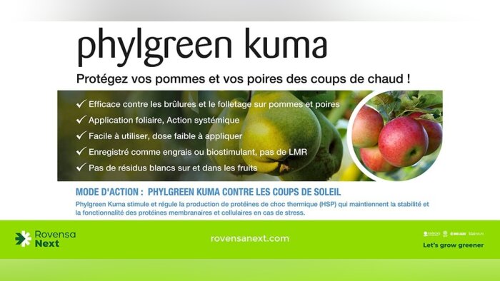 Les algues face aux coups de soleil sur les fruits