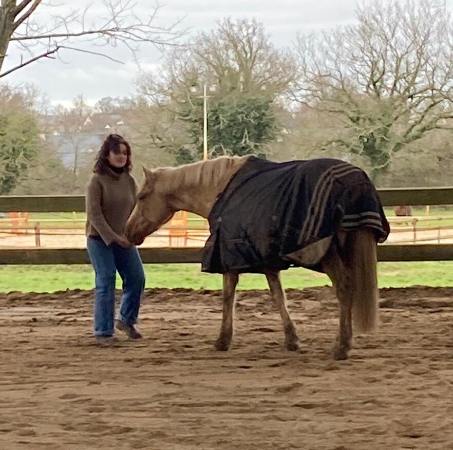 Le cheval renvoie les émotions et permet de s’analyser. - © Anne Musson