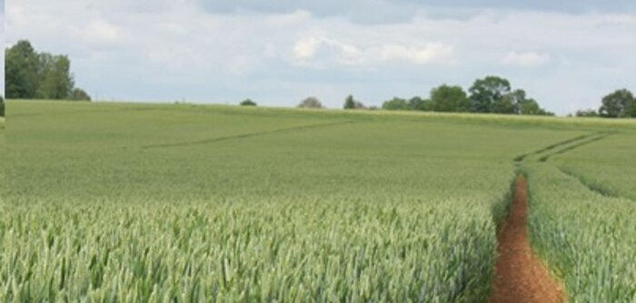 Bas carbone, EMC2 accompagne les jeunes agriculteurs