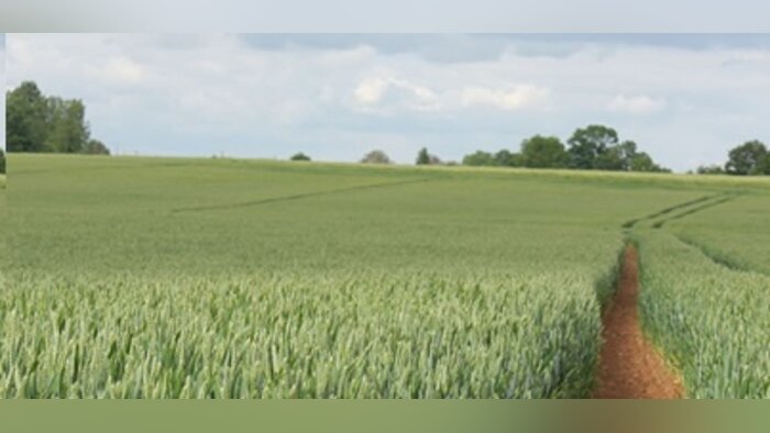 Bas carbone, EMC2 accompagne les jeunes agriculteurs