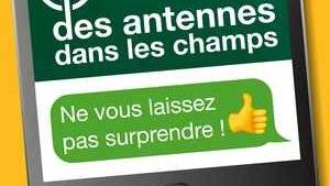 Bien réussir son semis de maïs