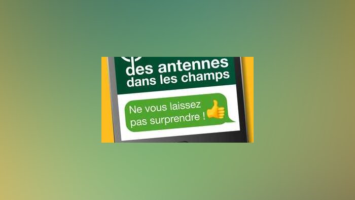 Bien réussir son semis de maïs
