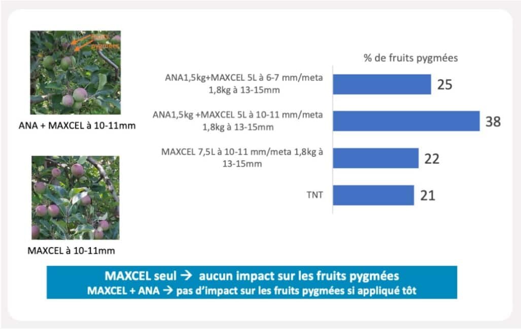 Résultats des essais Phil’Innov de Philagro - © D.R.