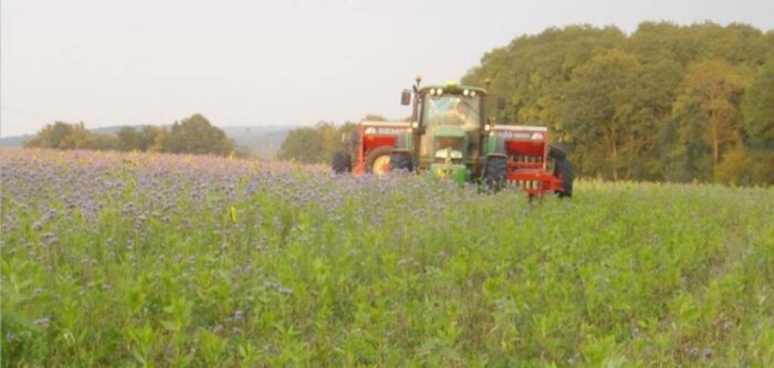 L’Efsa rend un avis favorable sur les micro-organismes obtenus par NGT