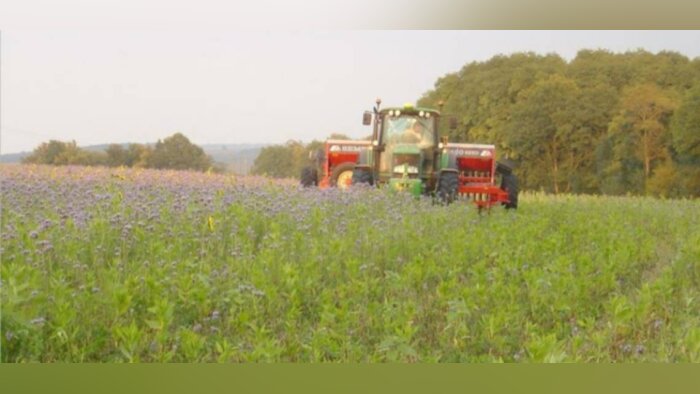L’Efsa rend un avis favorable sur les micro-organismes obtenus par NGT
