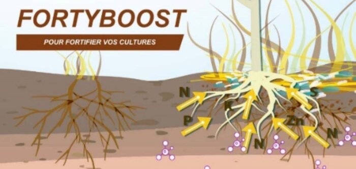FortyBoost, une préparation bactérienne favorisant la libération des éléments nutritifs dès le semis