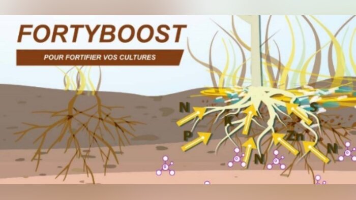 FortyBoost, une préparation bactérienne favorisant la libération des éléments nutritifs dès le semis