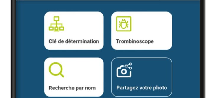 Insectes du silo, l’appli dédiée au stockage