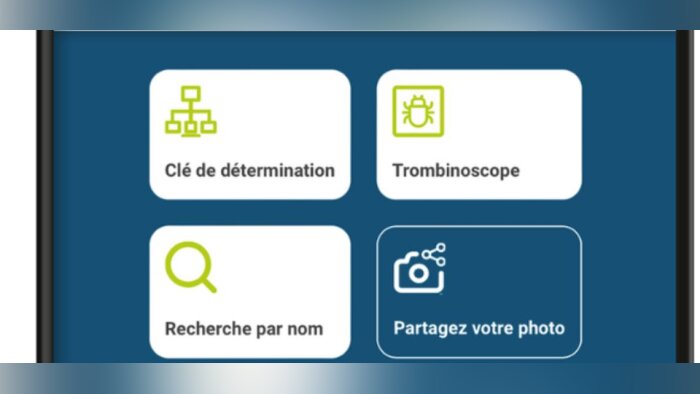 Insectes du silo, l’appli dédiée au stockage