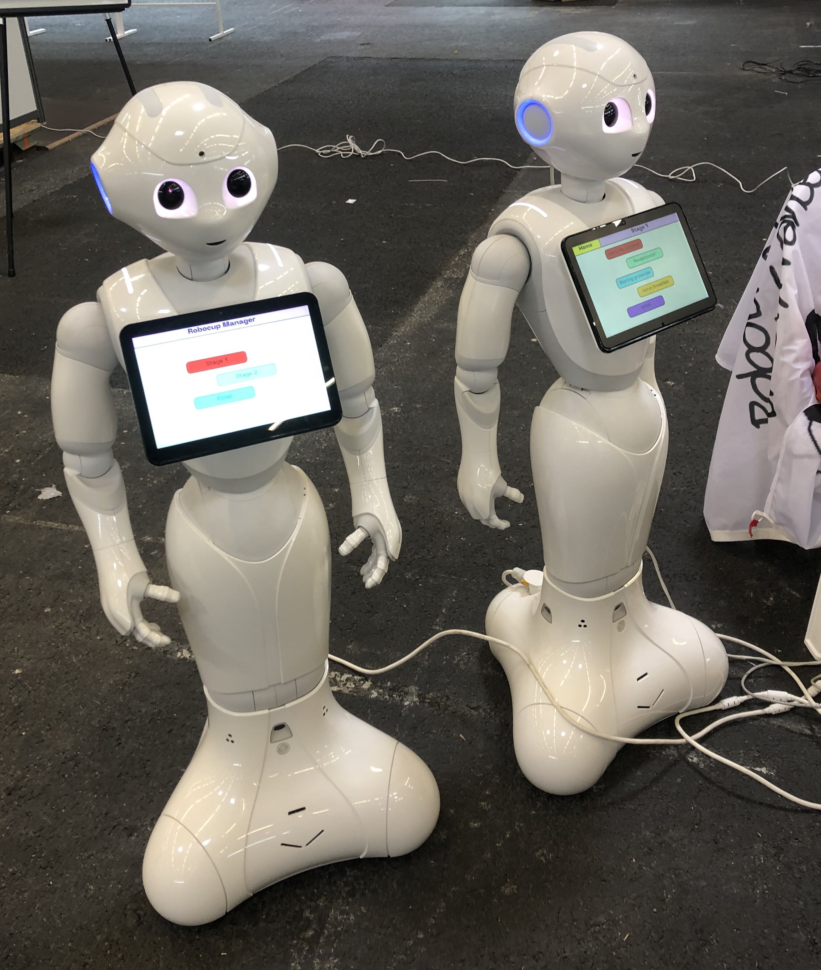 Pour la catégorie at home, tous les robots utilisés sont les mêmes, c’est la programmation qui change.  - © M. Dessaux
