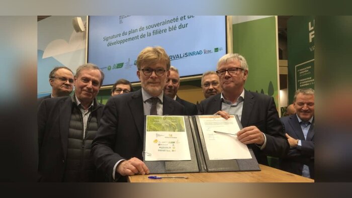 Le ministère de l’Agriculture soutient la filière blé dur à hauteur de 11 M€