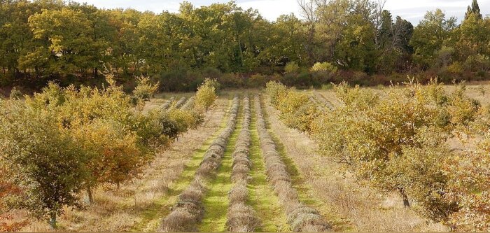 Les agriculteurs en lice pour le concours des pratiques agroécologiques sont dévoilés