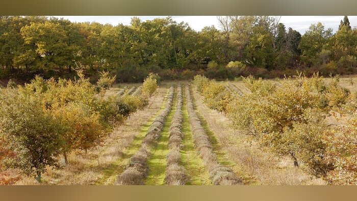 La Coopération agricole Ouest lance un mémento des pratiques bas carbone