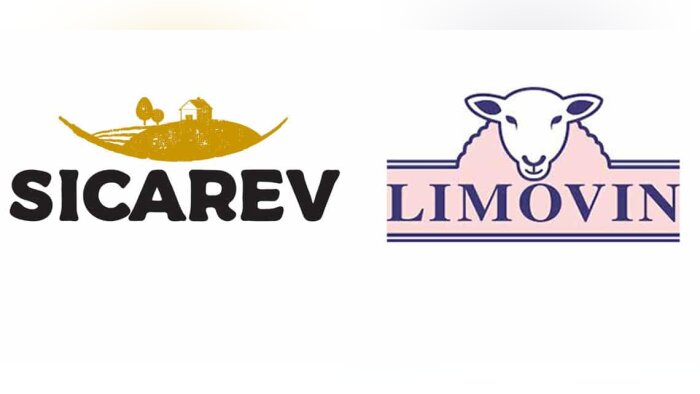 Les coopératives d’élevage Sicarev et Limovin prévoient de fusionner