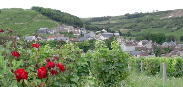 ZNT, les maires antipesticides saisissent à nouveau le Conseil d’État
