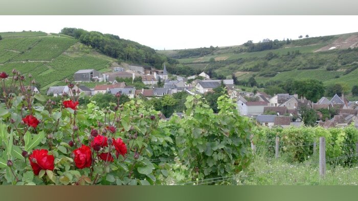 ZNT, les maires antipesticides saisissent à nouveau le Conseil d’État