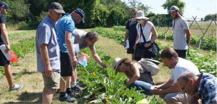 Phytosanitaires, garder la dynamique collective malgré la baisse des Groupes 30 000 dans le Grand Est