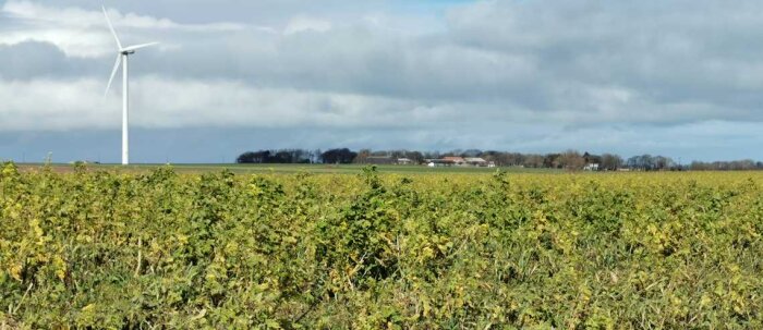 Climat, la France se prépare à s’adapter au scénario +4°C