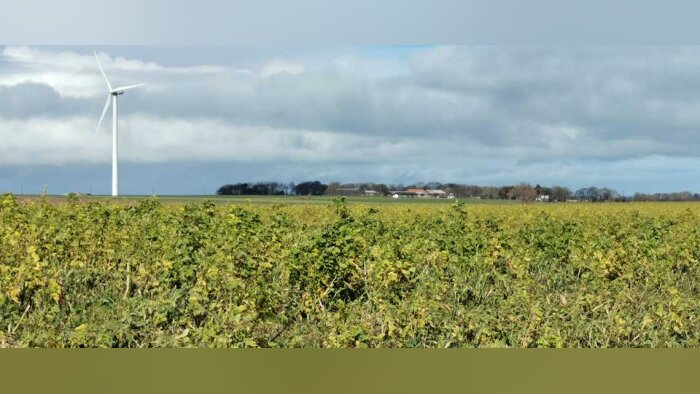 Climat, la France se prépare à s’adapter au scénario +4°C