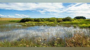 Crédits nature : les premiers éléments de la feuille de route de la Commission européenne