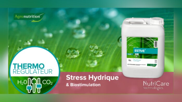 Agronutrition obtient l’homologation d’Estive, biostimulant foliaire en grandes cultures