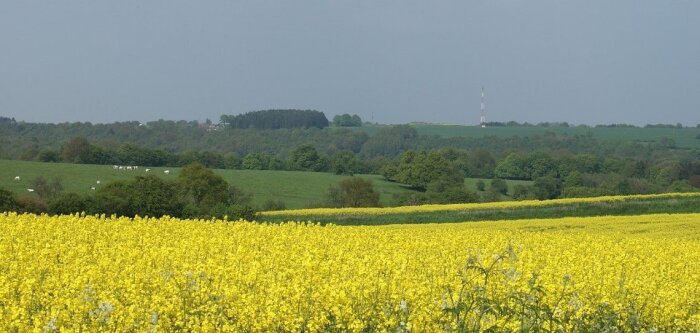 Miimosa renforce sa présence en Belgique