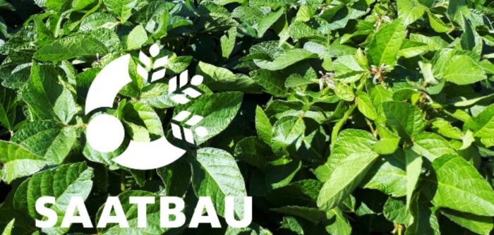 Plein succès pour la génétique Saatbau !