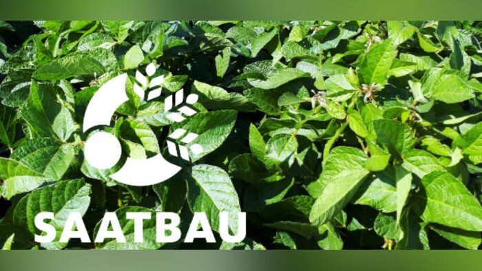 Plein succès pour la génétique Saatbau !