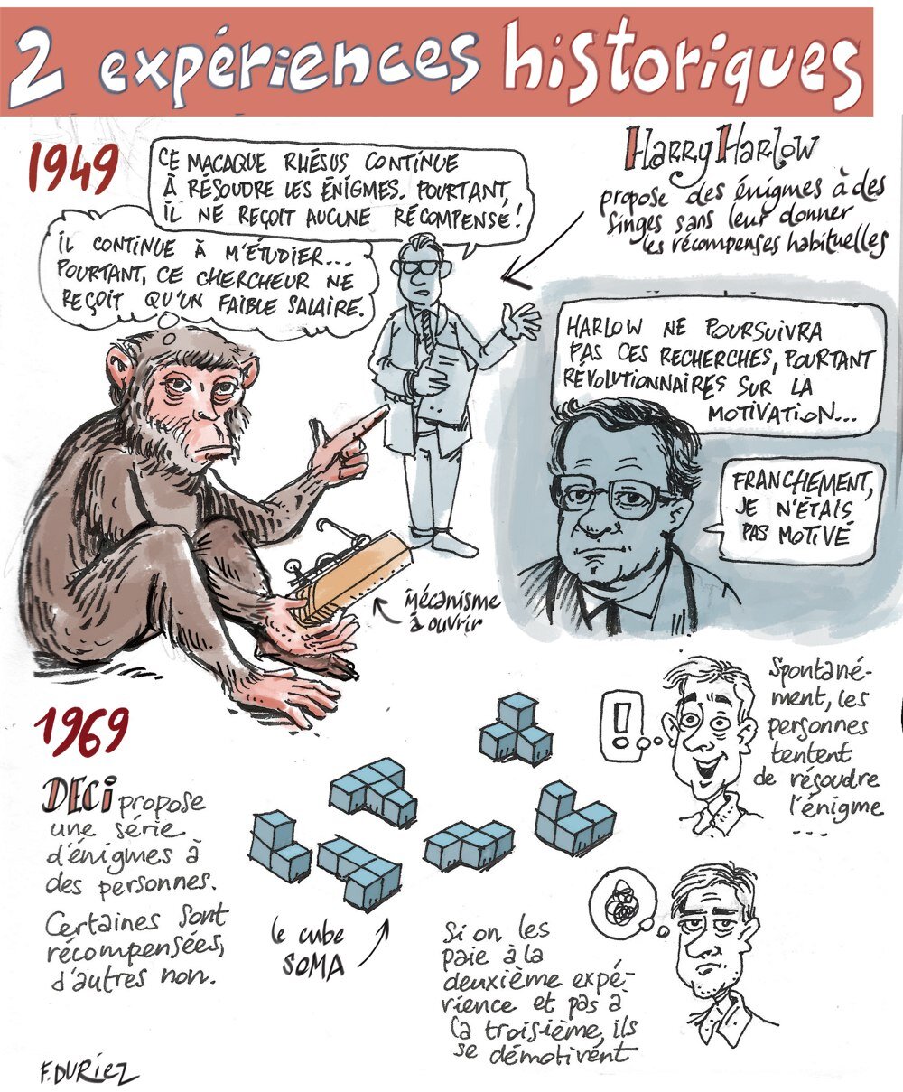 Dessin de Frédéric Duriez - © Frédéric Duriez