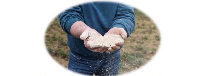 Power the Nature lance FertiRoc : un biostimulant 100 % naturel pour améliorer l’efficience de l’azote