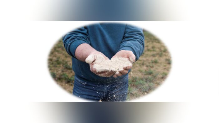 Power the Nature lance FertiRoc : un biostimulant 100 % naturel pour améliorer l’efficience de l’azote