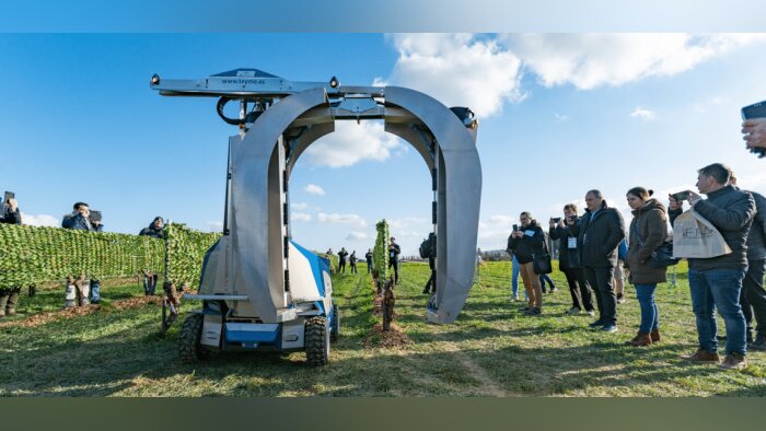 World Fira 2023, une première édition dans les champs réussie avec 2 000 participants