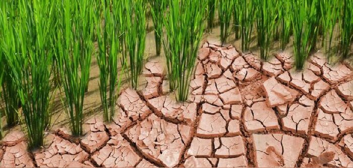 Le ministère de l’Agriculture veut bâtir une feuille de route sur le climat
