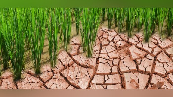 Le ministère de l’Agriculture veut bâtir une feuille de route sur le climat