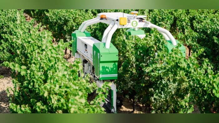 Naïo Technologies dévoile la nouvelle version de son robot Ted dédié aux vignes