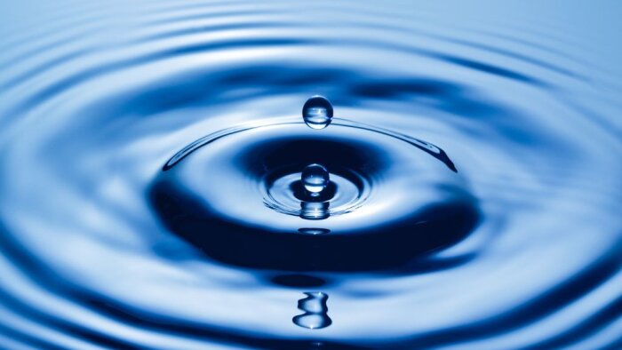 Pollution des eaux par les phytosanitaires et les nitrates : les 5 enseignements de l’étude du SDES