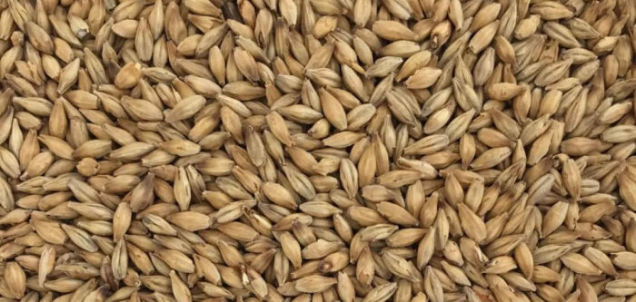 Malteries Soufflet devient le premier producteur mondial de malt